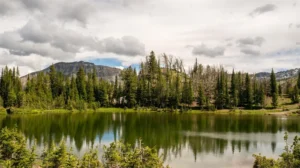 2026 Q1 Land & Property Auction