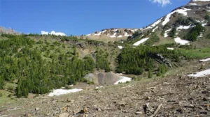 2026 Q1 Foreclosure Properties-NEV-NM-ID-OK-AZ-MT-CO-UT